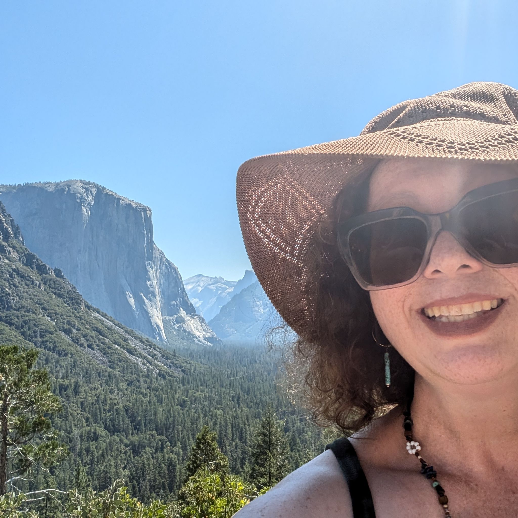 @TexasPenguin avatar