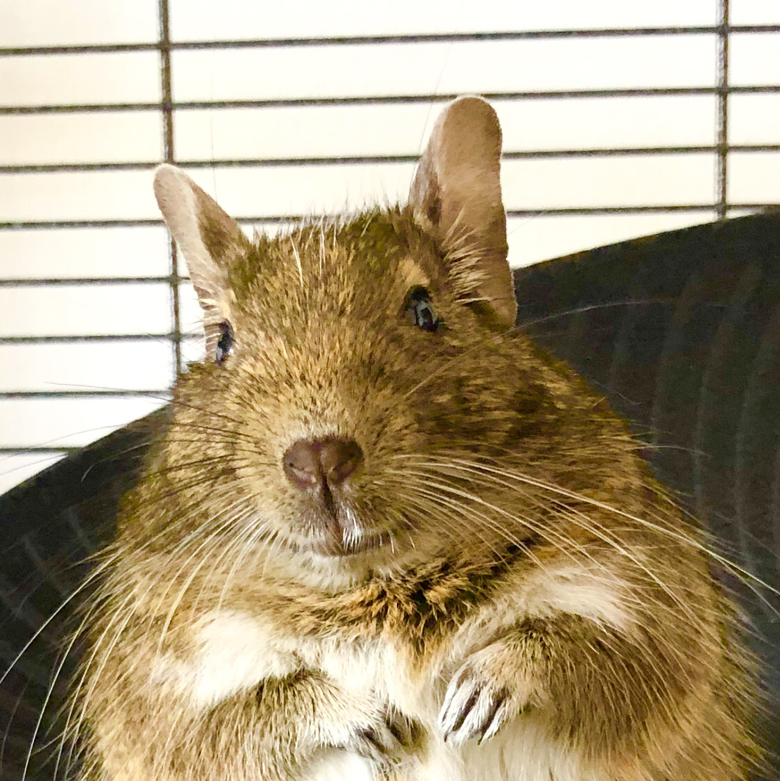 Avatar for @Djmistersmith on Greg, the plant care app