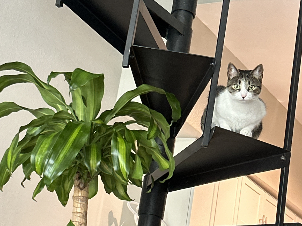 @BrownThumb24 avatar