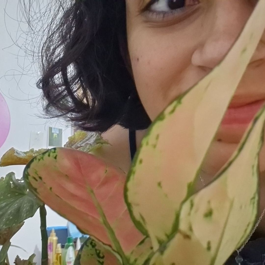 @ChummyGlueseed avatar