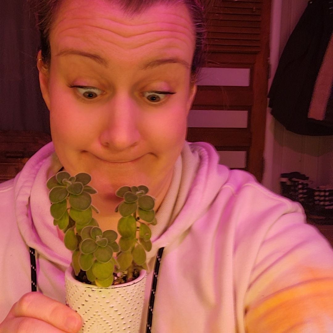 Avatar for @MissPawluhhh on Greg, the plant care app