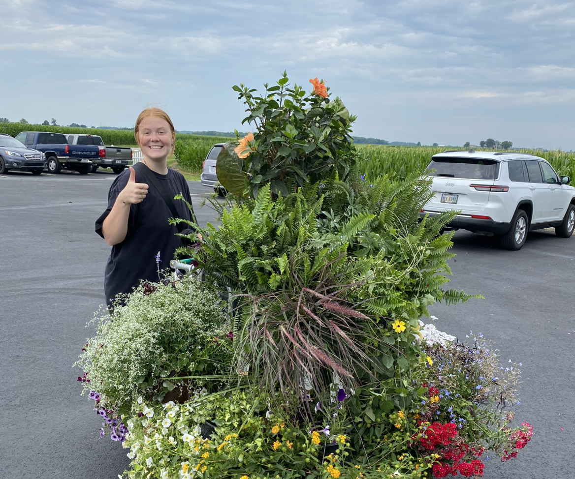 Avatar for @allycemcbee on Greg, the plant care app