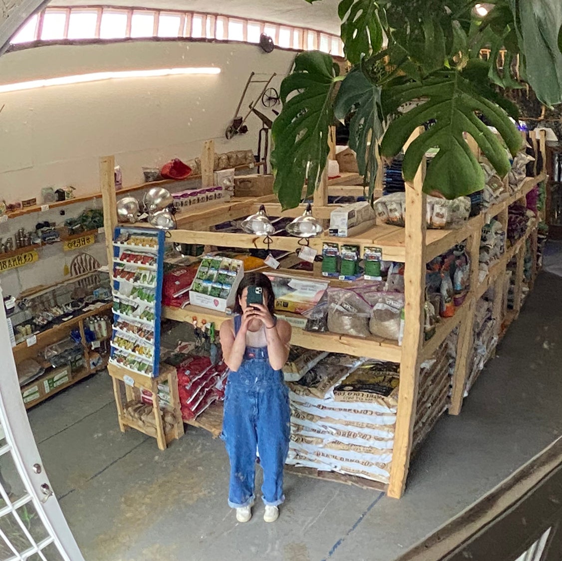 Avatar for @Madelinebuzz on Greg, the plant care app