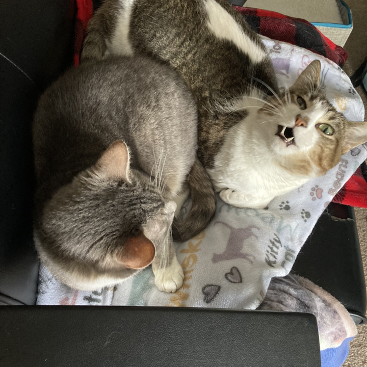 Avatar for @Kessass on Greg, the plant care app