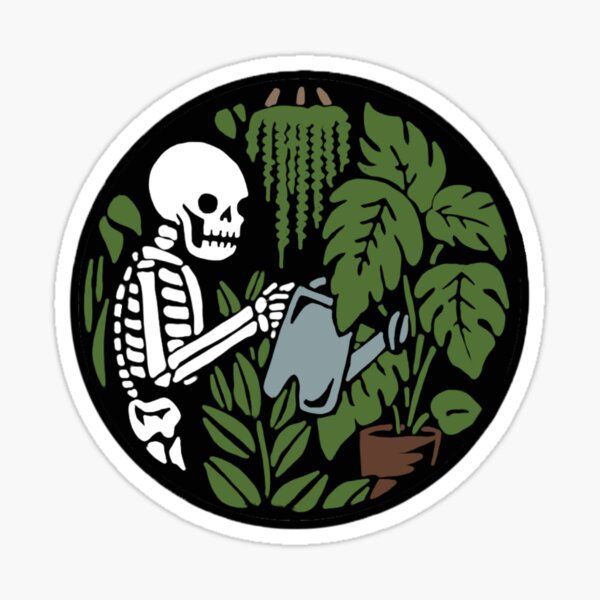 Avatar for @Alanabanana on Greg, the plant care app