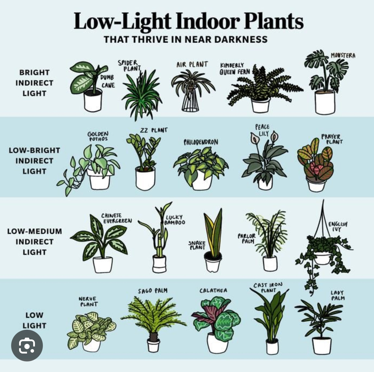 @-I_love_plants- avatar