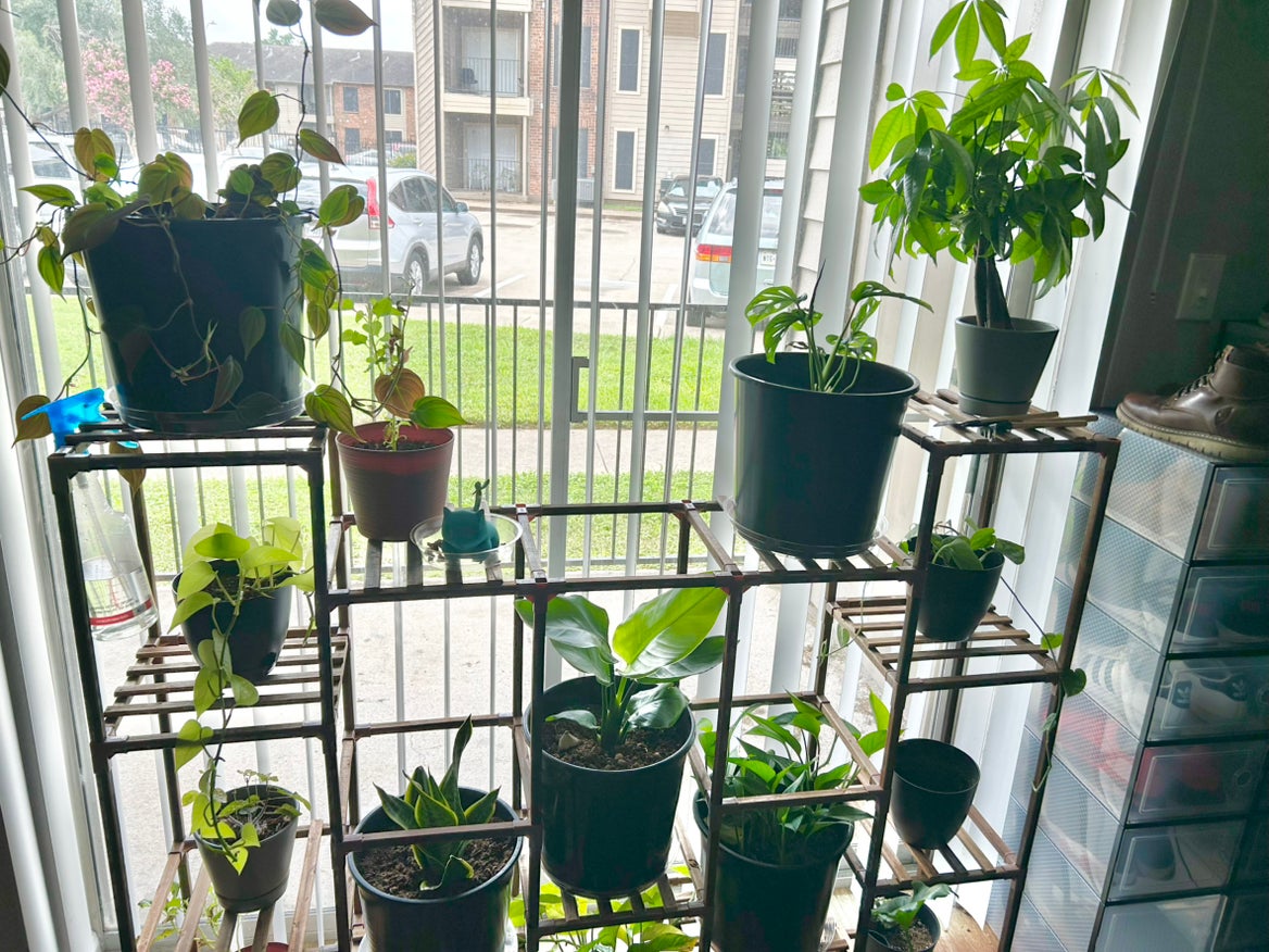 @ProlificDuwei avatar