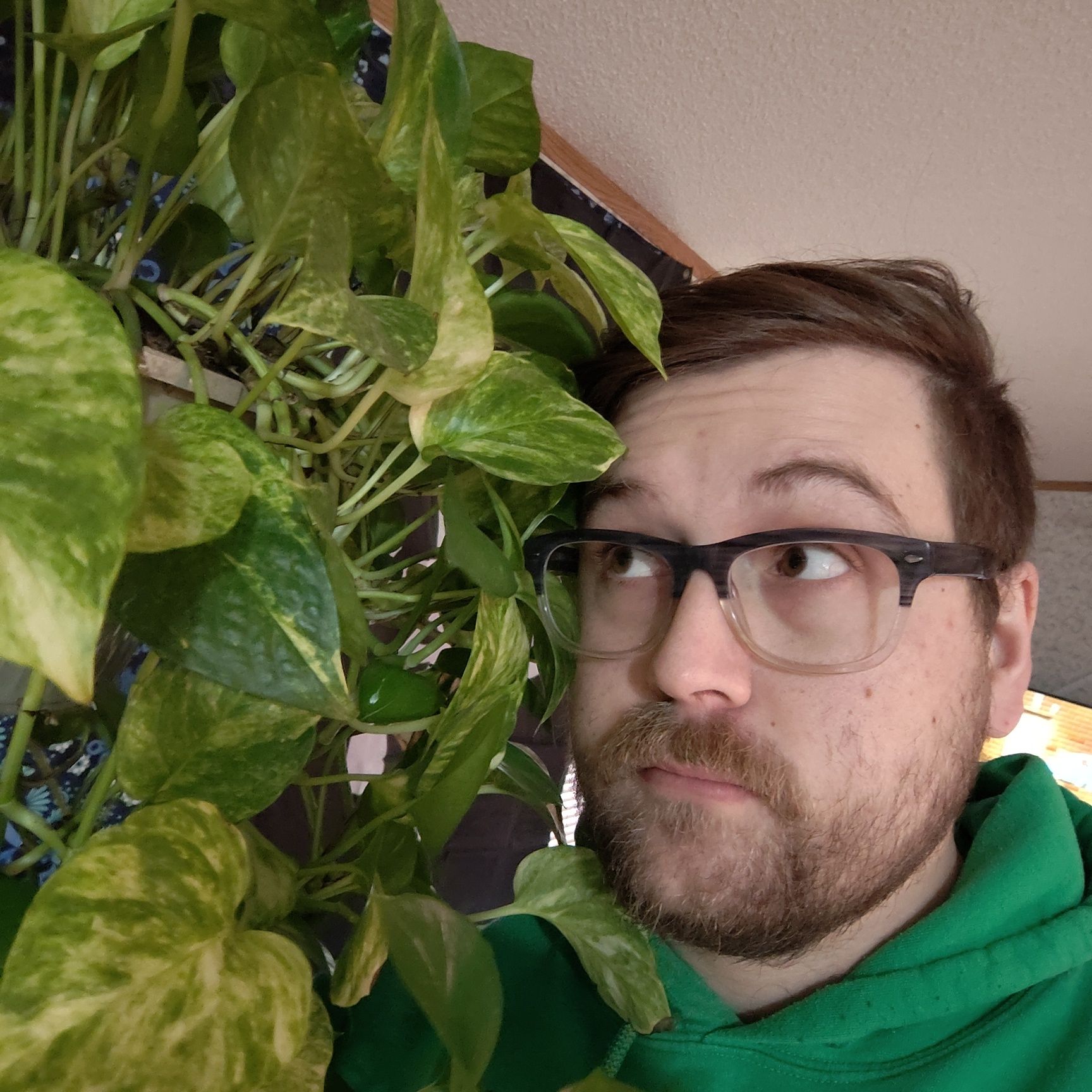 Avatar for @Mitcher17 on Greg, the plant care app