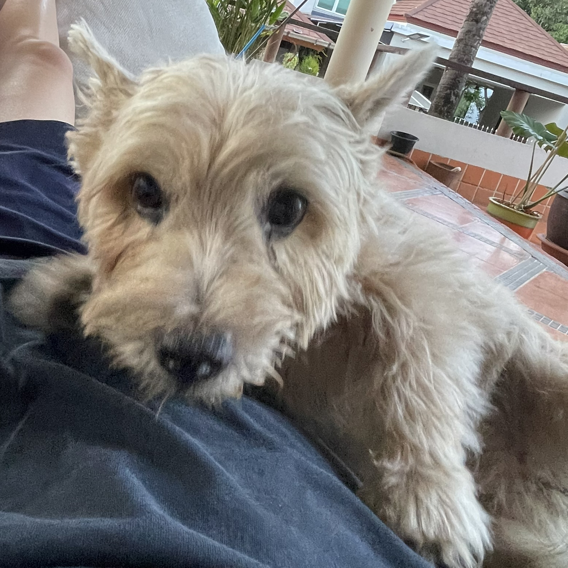 Avatar for @panita on Greg, the plant care app