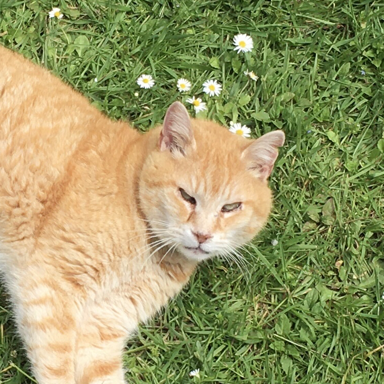 Avatar for @onepointzero on Greg, the plant care app