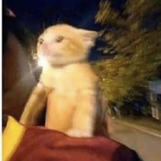 Avatar for Gabrielle on Greg, the plant care app