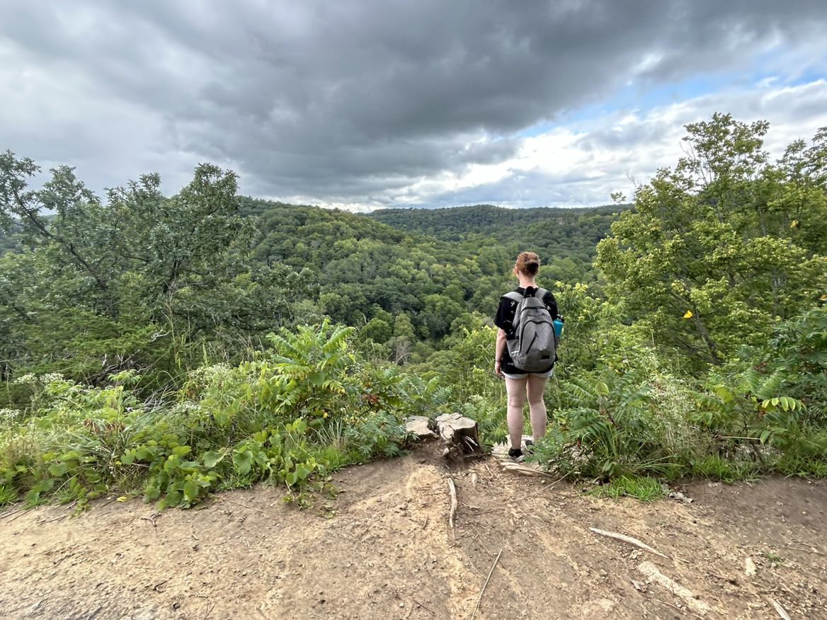 Avatar for @rorythemonkey on Greg, the plant care app