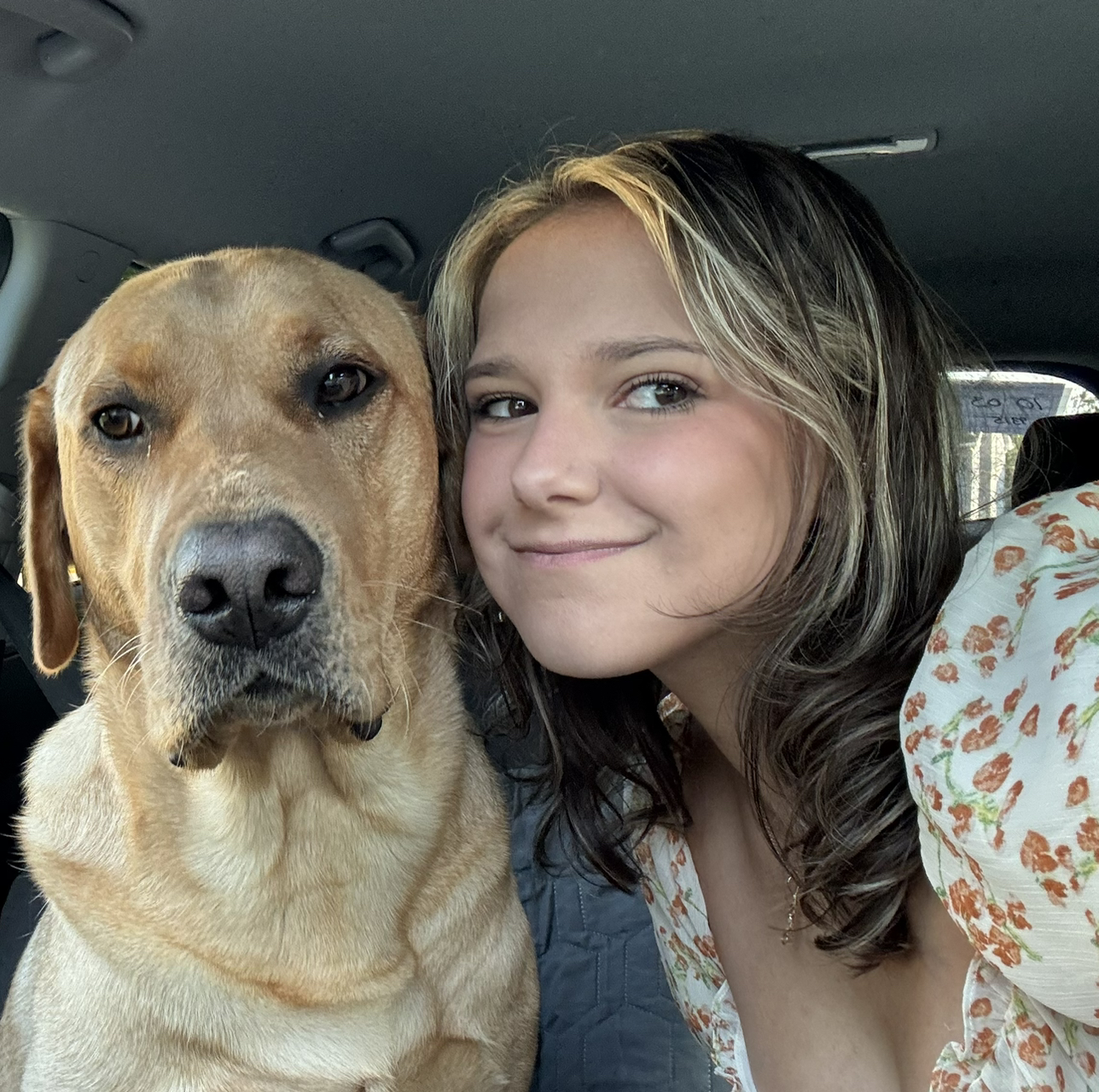 @That0neCatGirl avatar