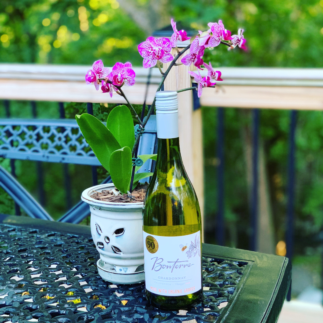 Avatar for @CAB128 on Greg, the plant care app