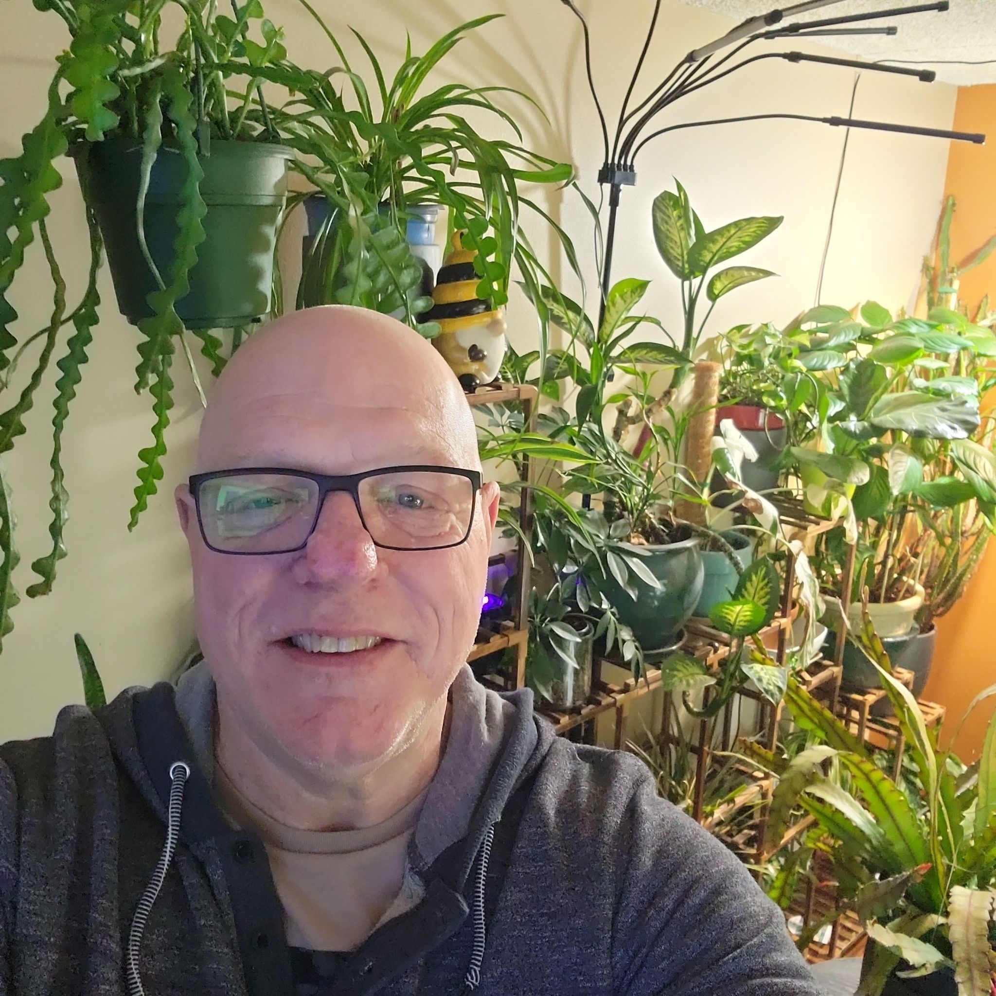 Avatar for @SportyBreweroak on Greg, the plant care app