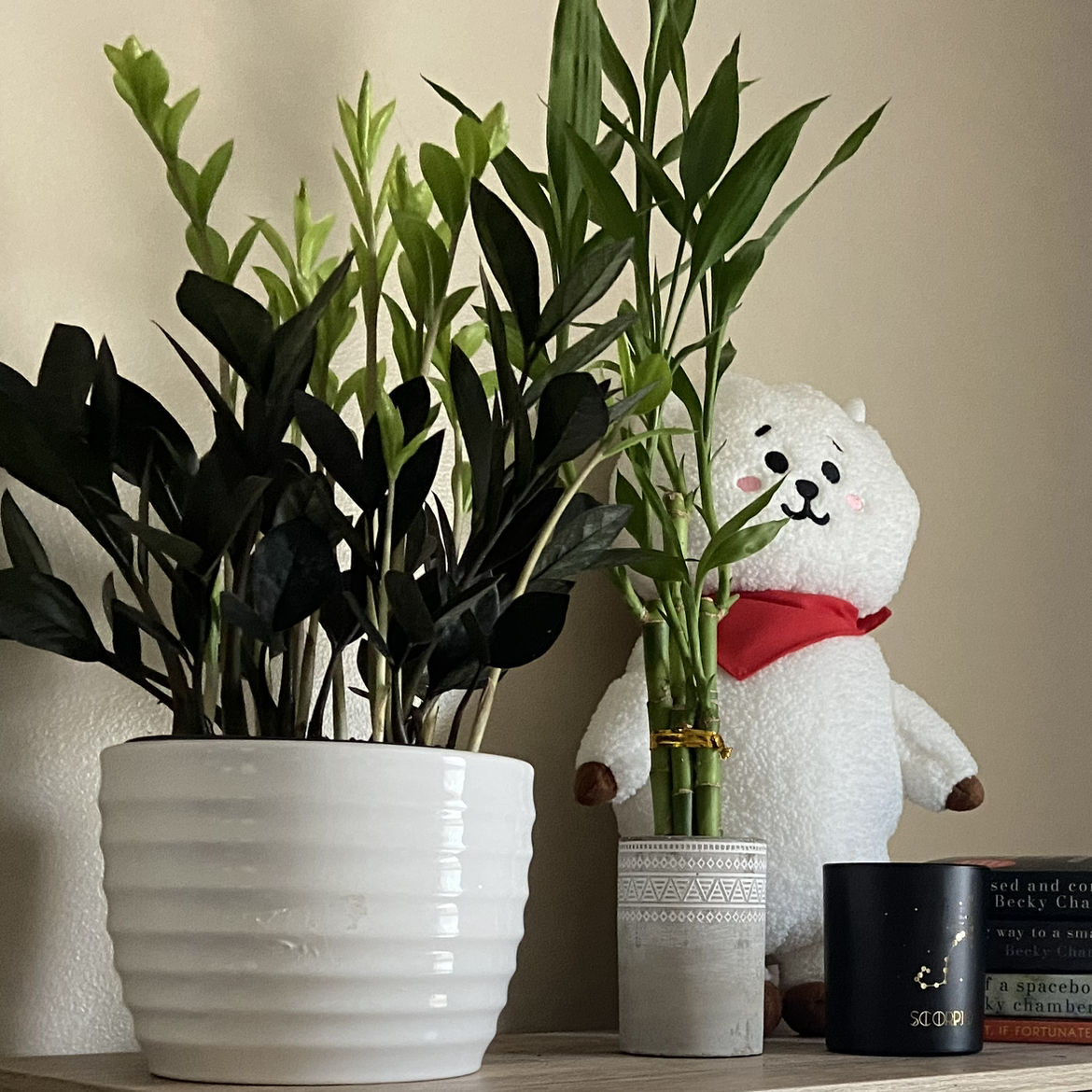 Avatar for @skrau on Greg, the plant care app