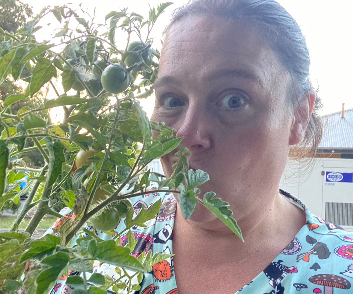 Avatar for @HotFirebirdaloe on Greg, the plant care app