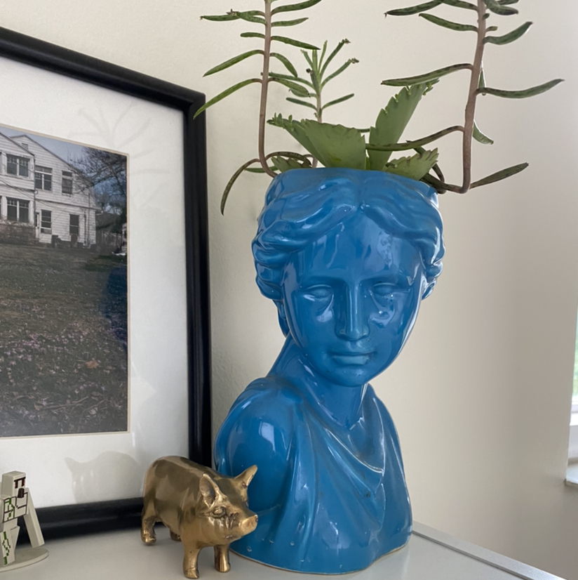 Avatar for @artichoke on Greg, the plant care app