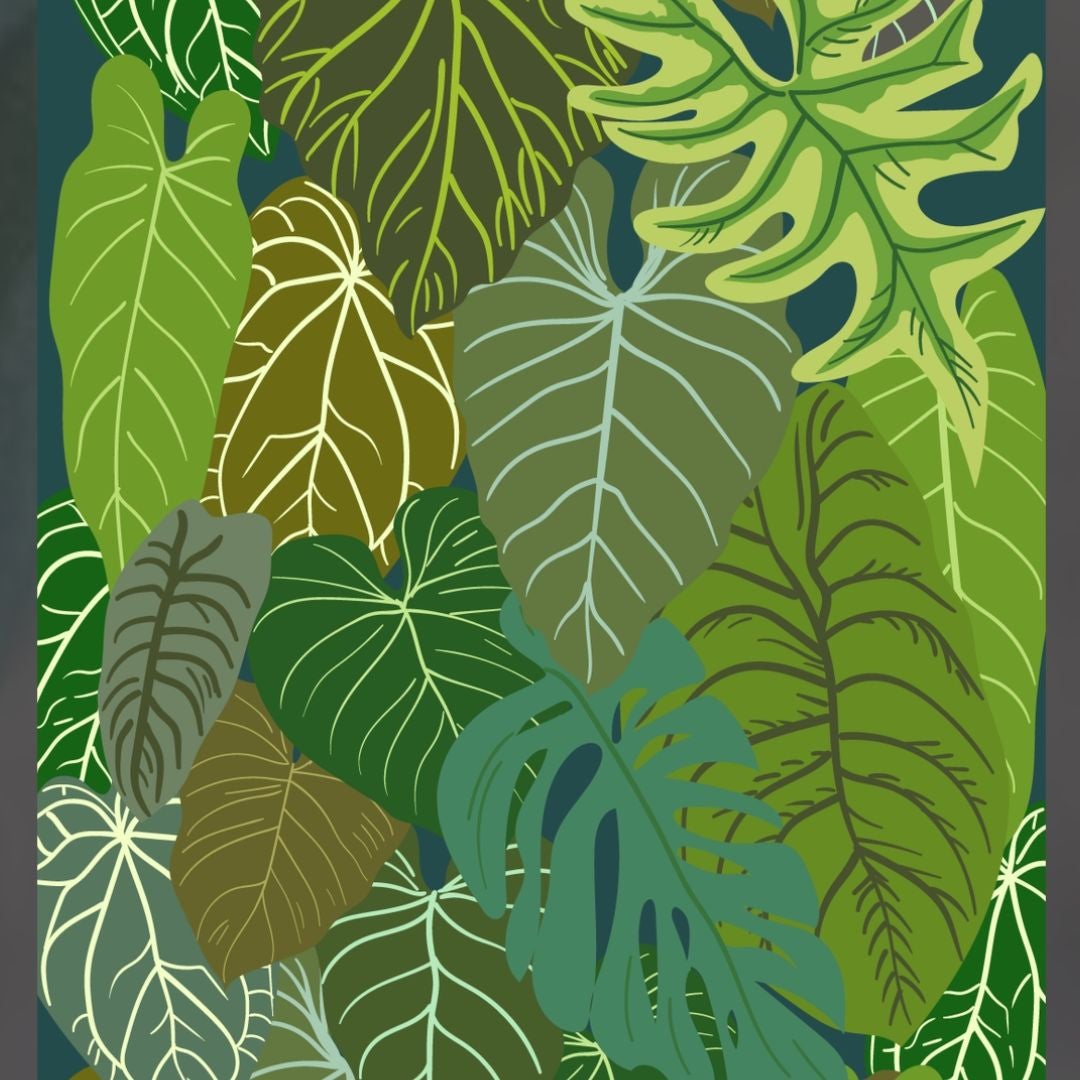 Avatar for @1nMyOasis on Greg, the plant care app