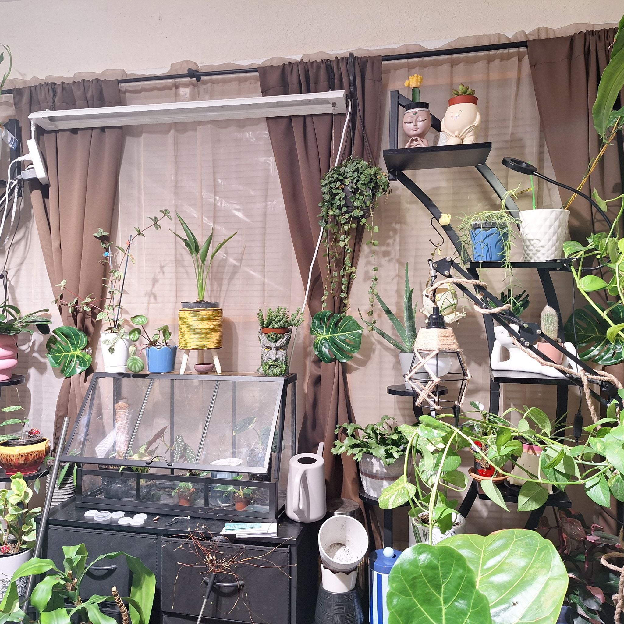 @plantcraze79 avatar