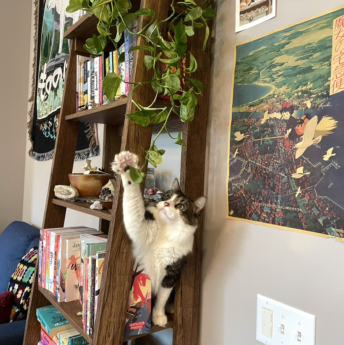 @StromantheSlave avatar