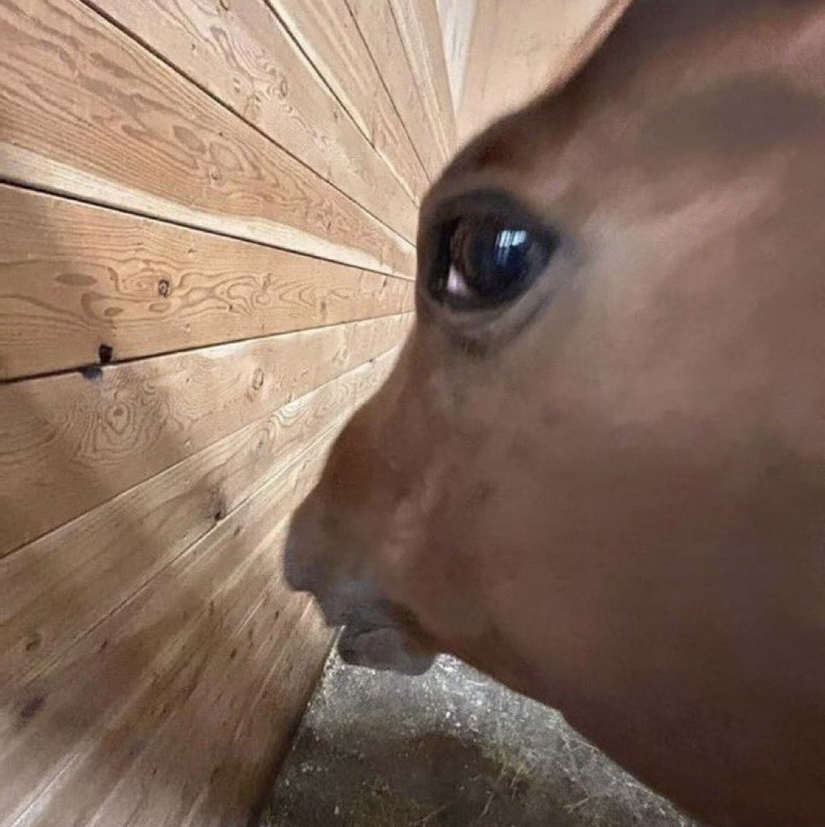 @dirstenkunst avatar