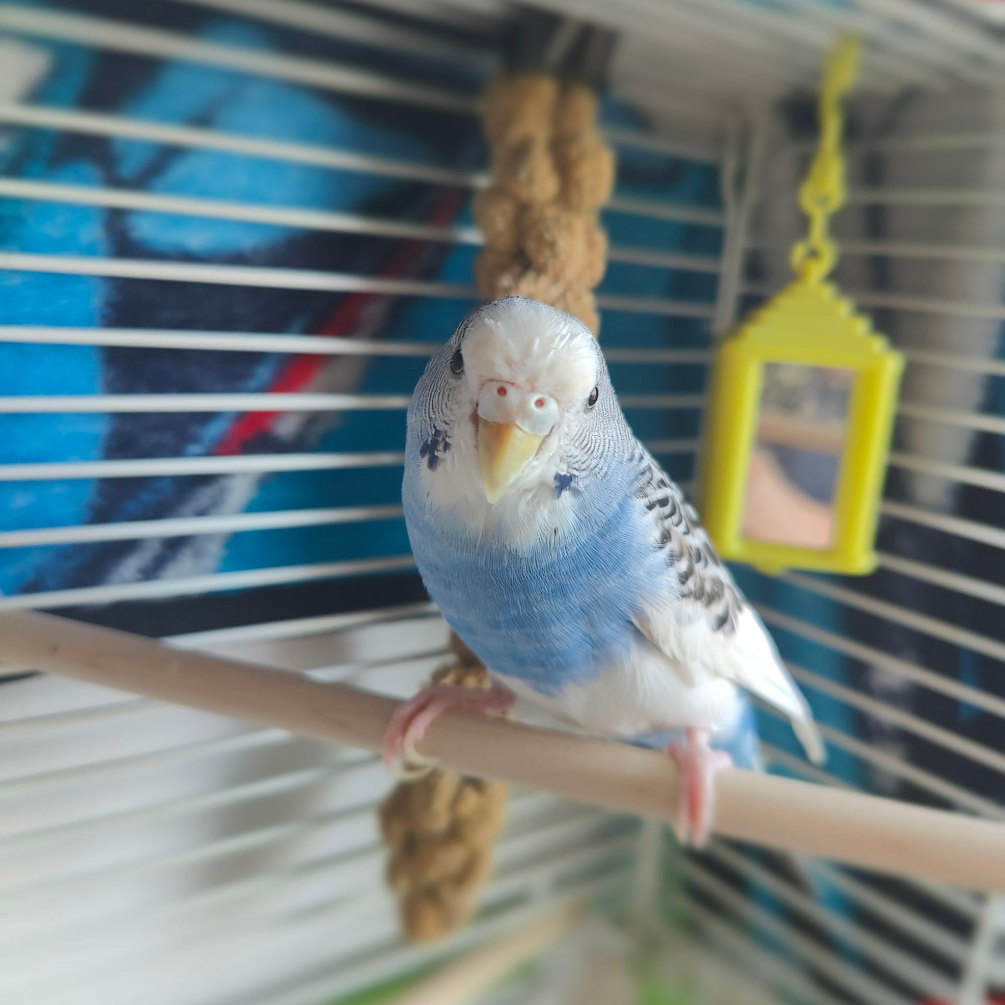 @PlantsForFun avatar