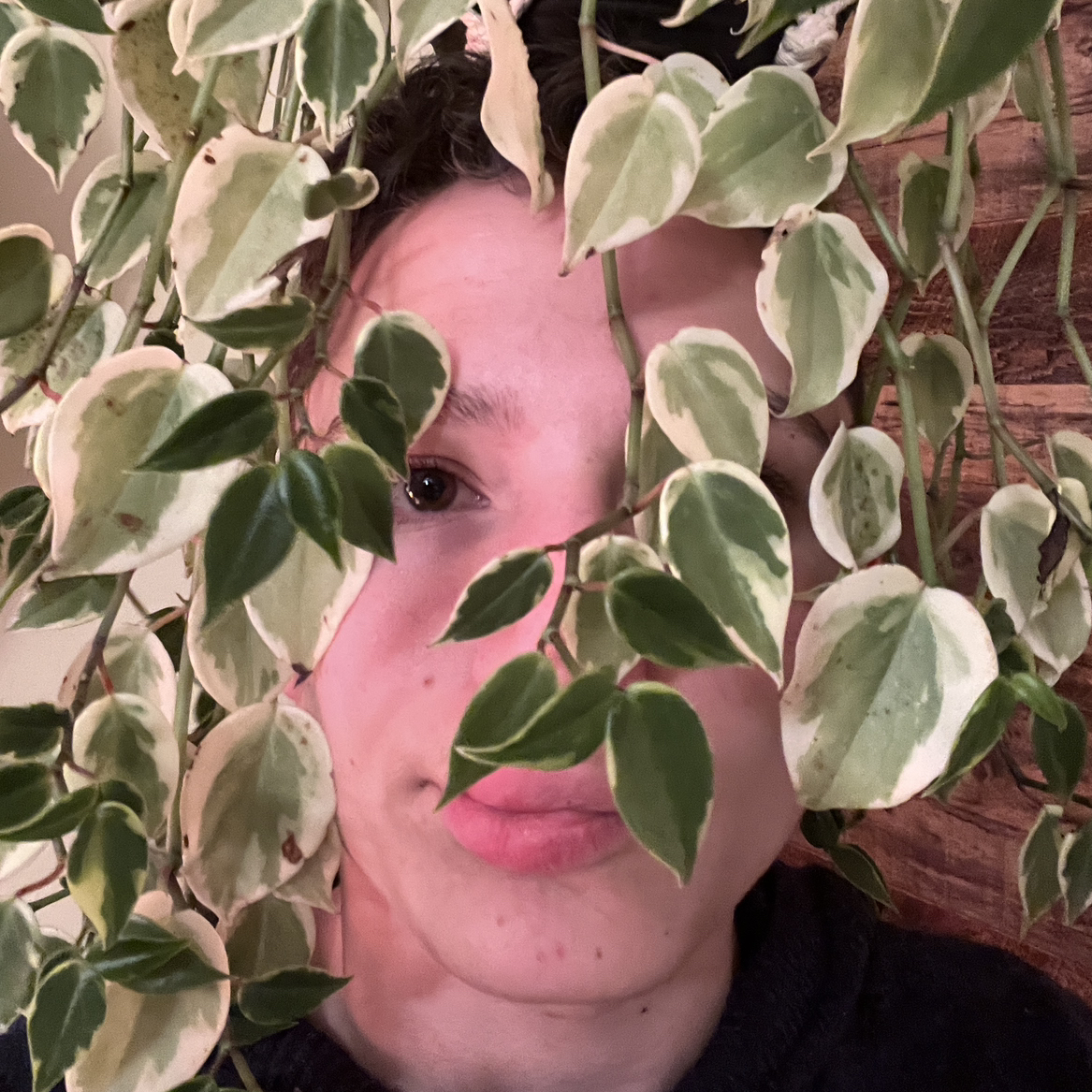@Plant_Cuddler