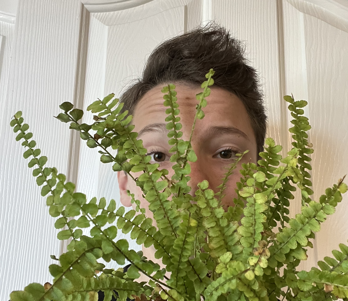 @Plant_Cuddler