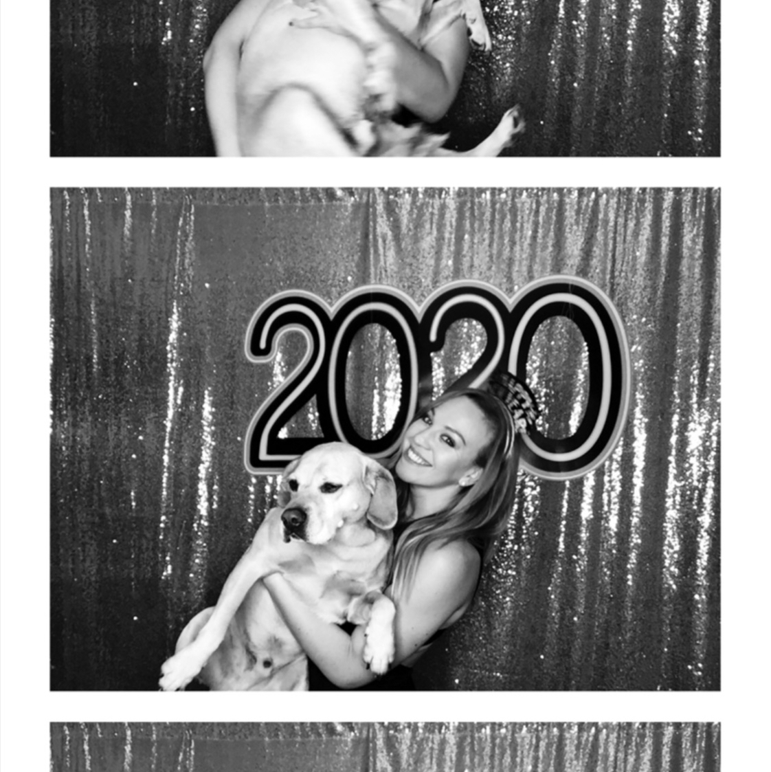 Avatar for @Sophiebluhm on Greg, the plant care app