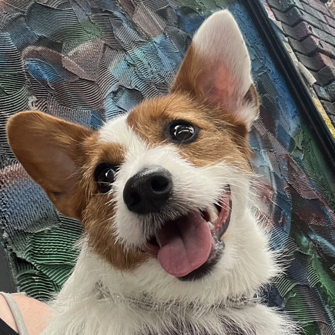 Avatar for @BabyMoutanpeony on Greg, the plant care app