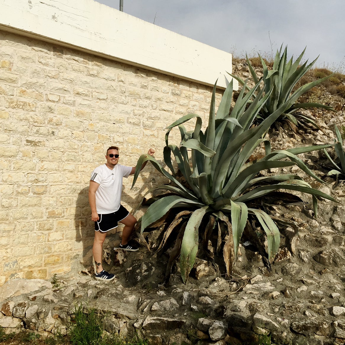 @JoshsGreenThumb avatar