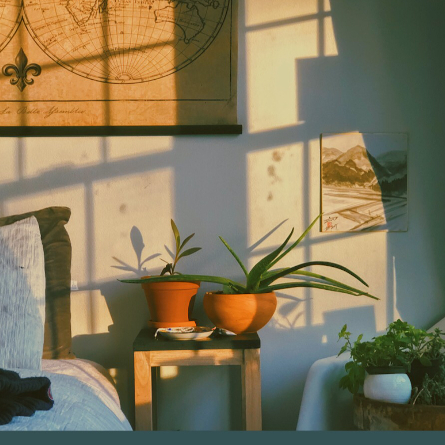 Avatar for @Maddiemledford on Greg, the plant care app