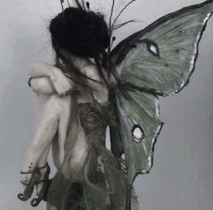 @dark_fairy13 avatar
