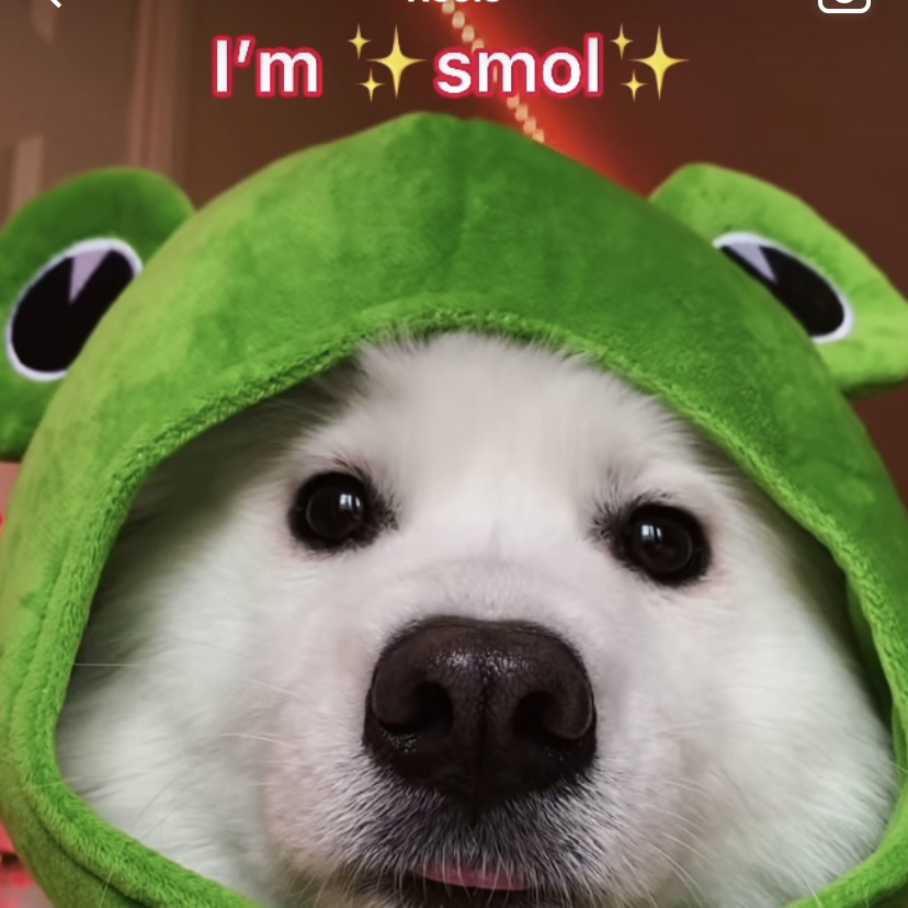 Avatar for @mia_w12 on Greg, the plant care app