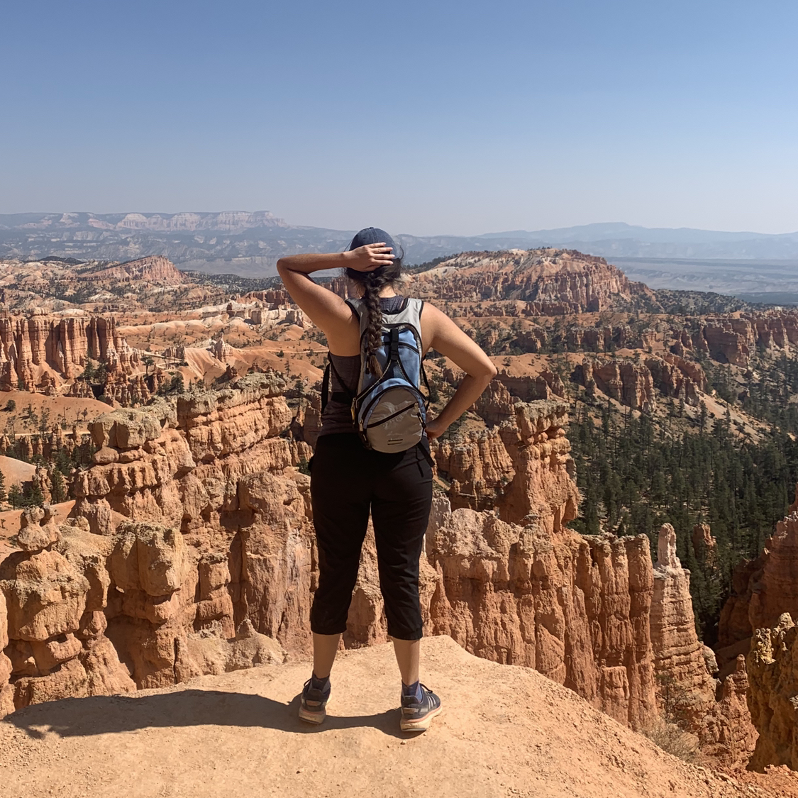 Avatar for @mareza on Greg, the plant care app