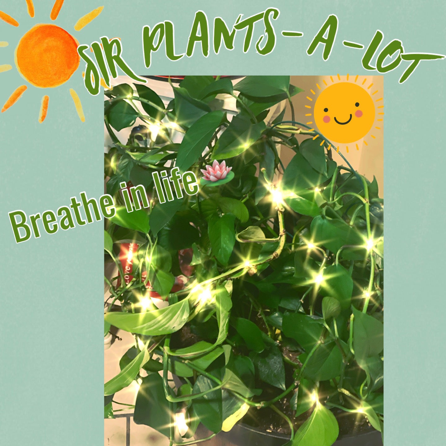 @ValleyOfErlease avatar