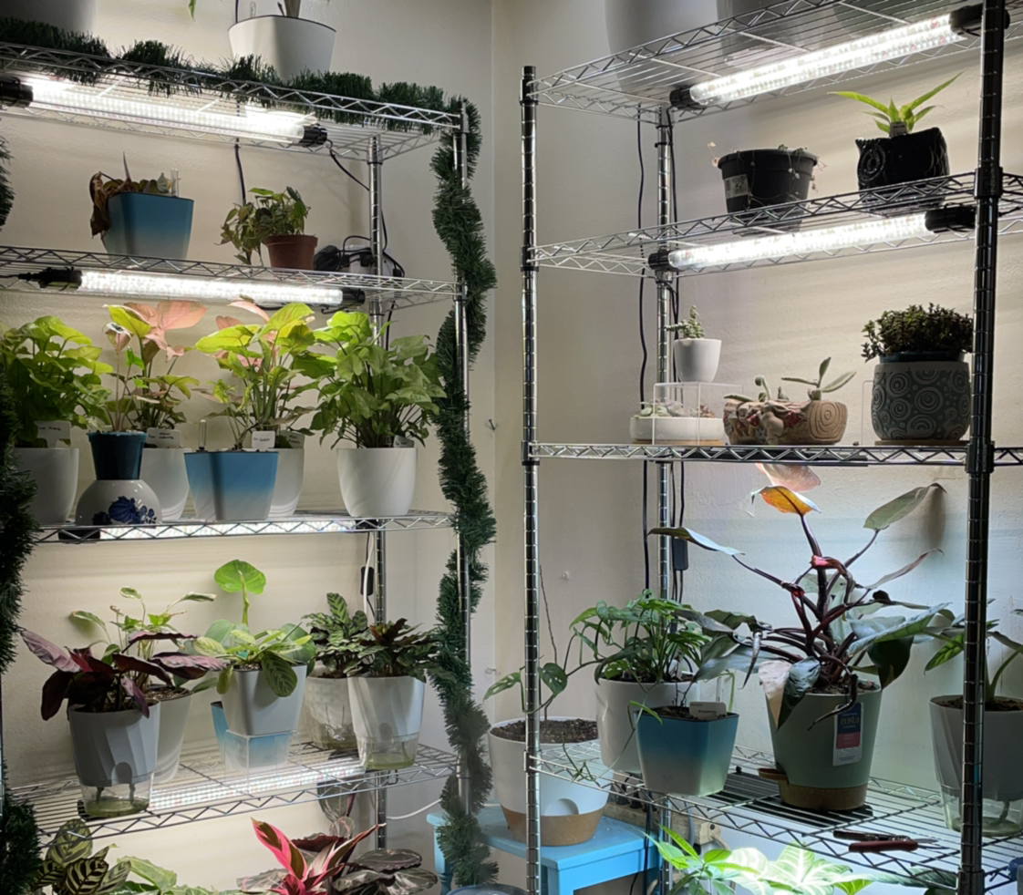 Avatar for @ShellysPlants on Greg, the plant care app