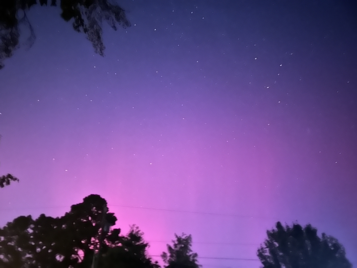 Avatar for @WitchyWoman on Greg, the plant care app