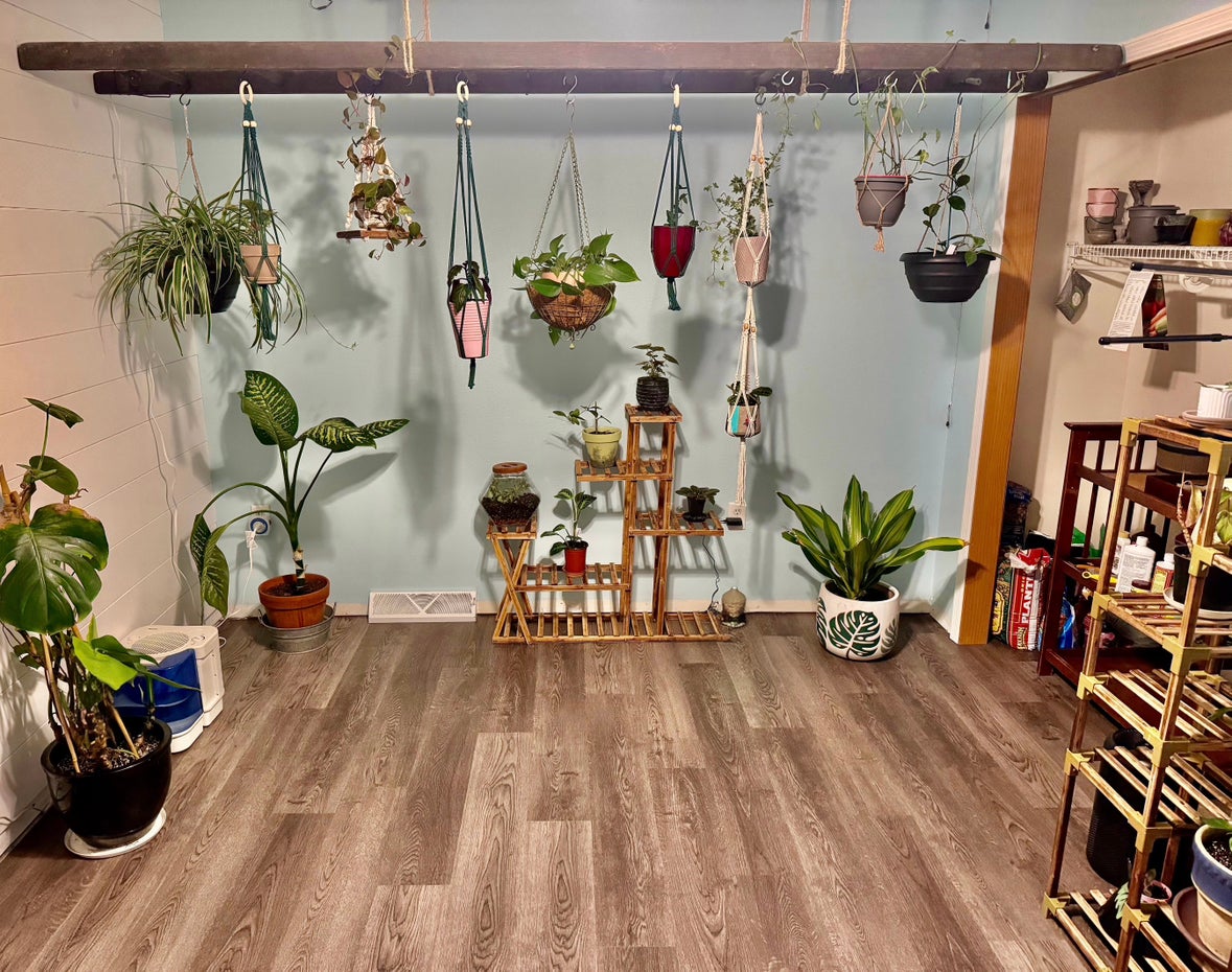 Avatar for @NikkysBloomRoom on Greg, the plant care app