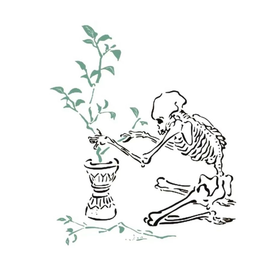 Avatar for @gretaam on Greg, the plant care app