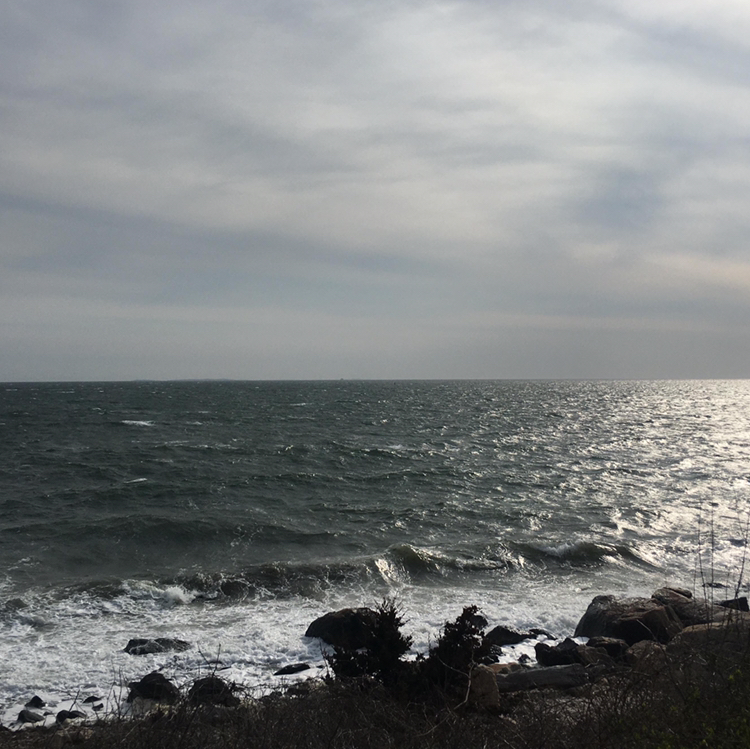 Avatar for @stardust on Greg, the plant care app