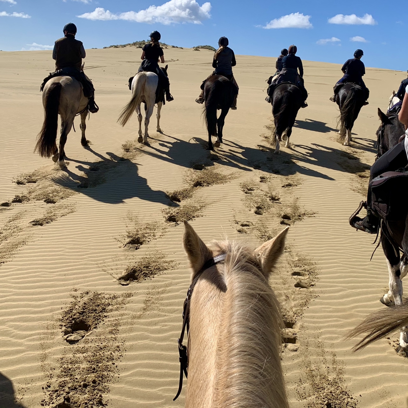 Avatar for @Juki13 on Greg, the plant care app