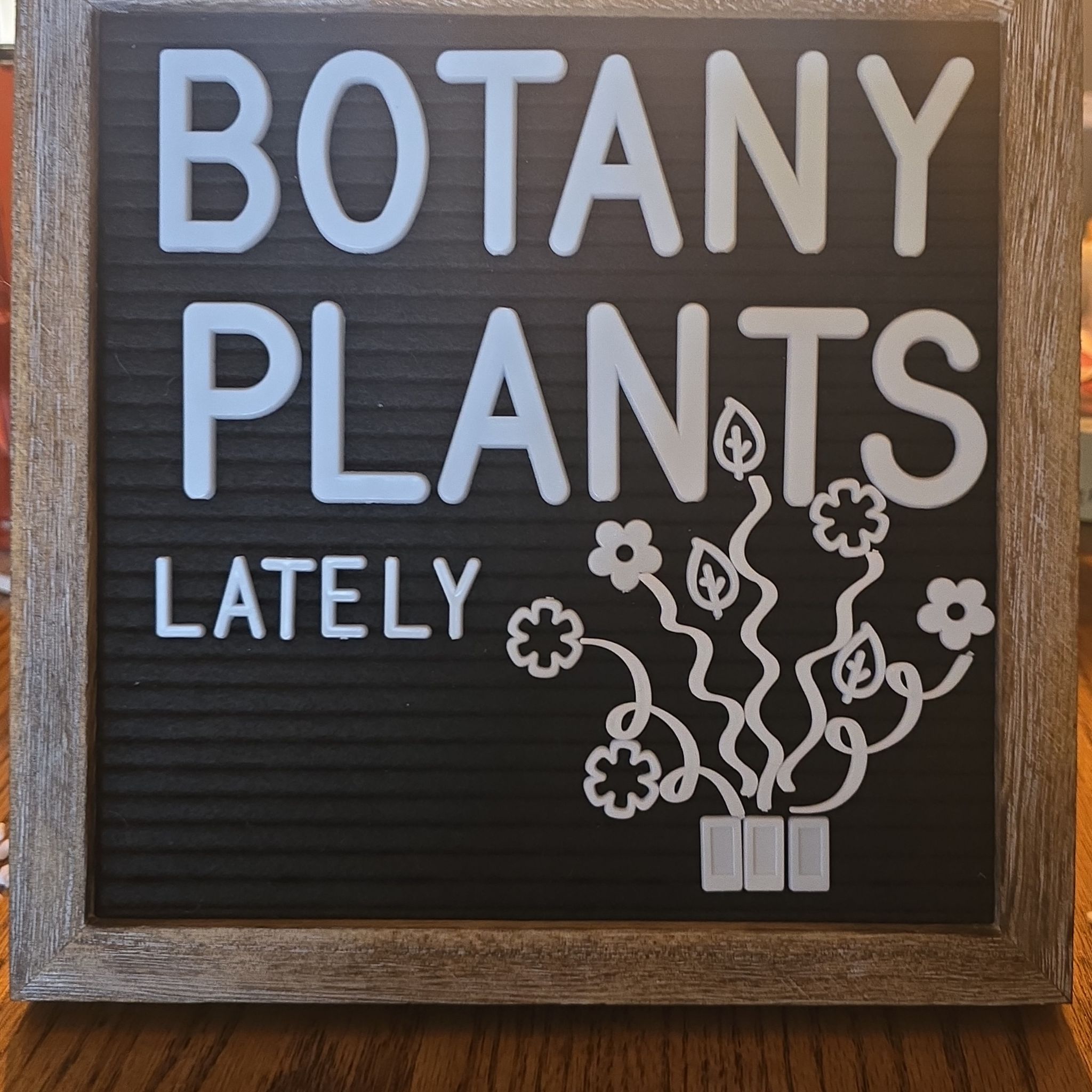 Avatar for @SteeleonWheels on Greg, the plant care app