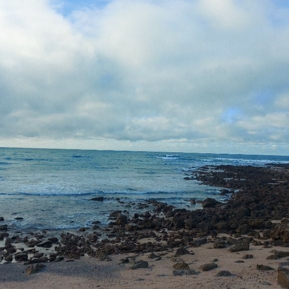 @belamour8moth avatar