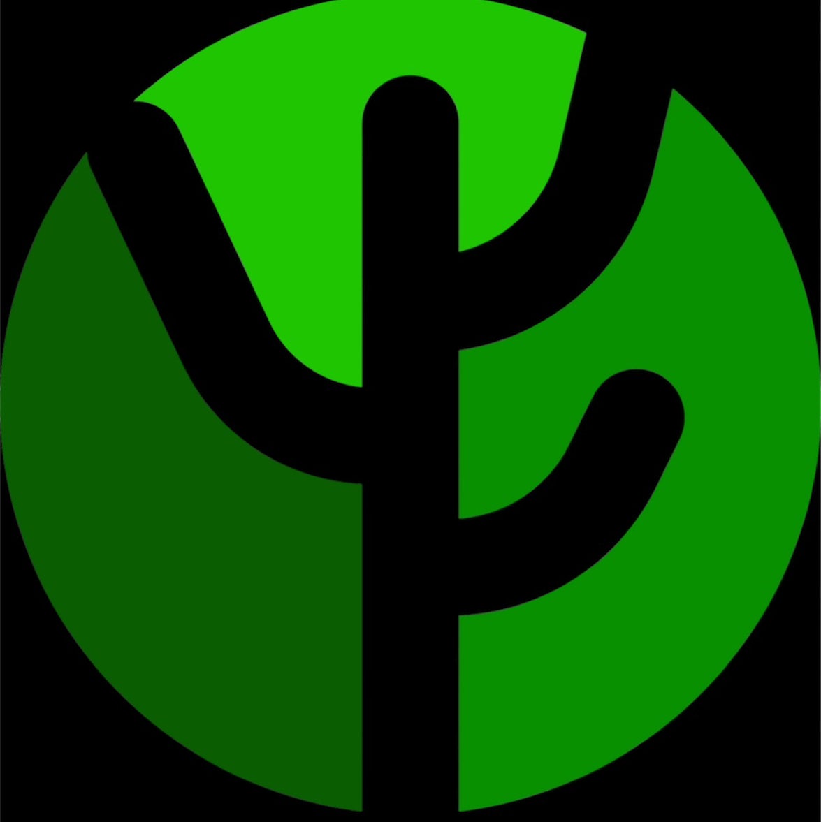 @MW_Kaktushaus avatar