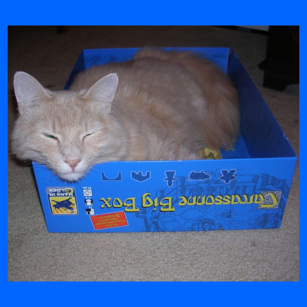 Avatar for @pythagoraskitty on Greg, the plant care app