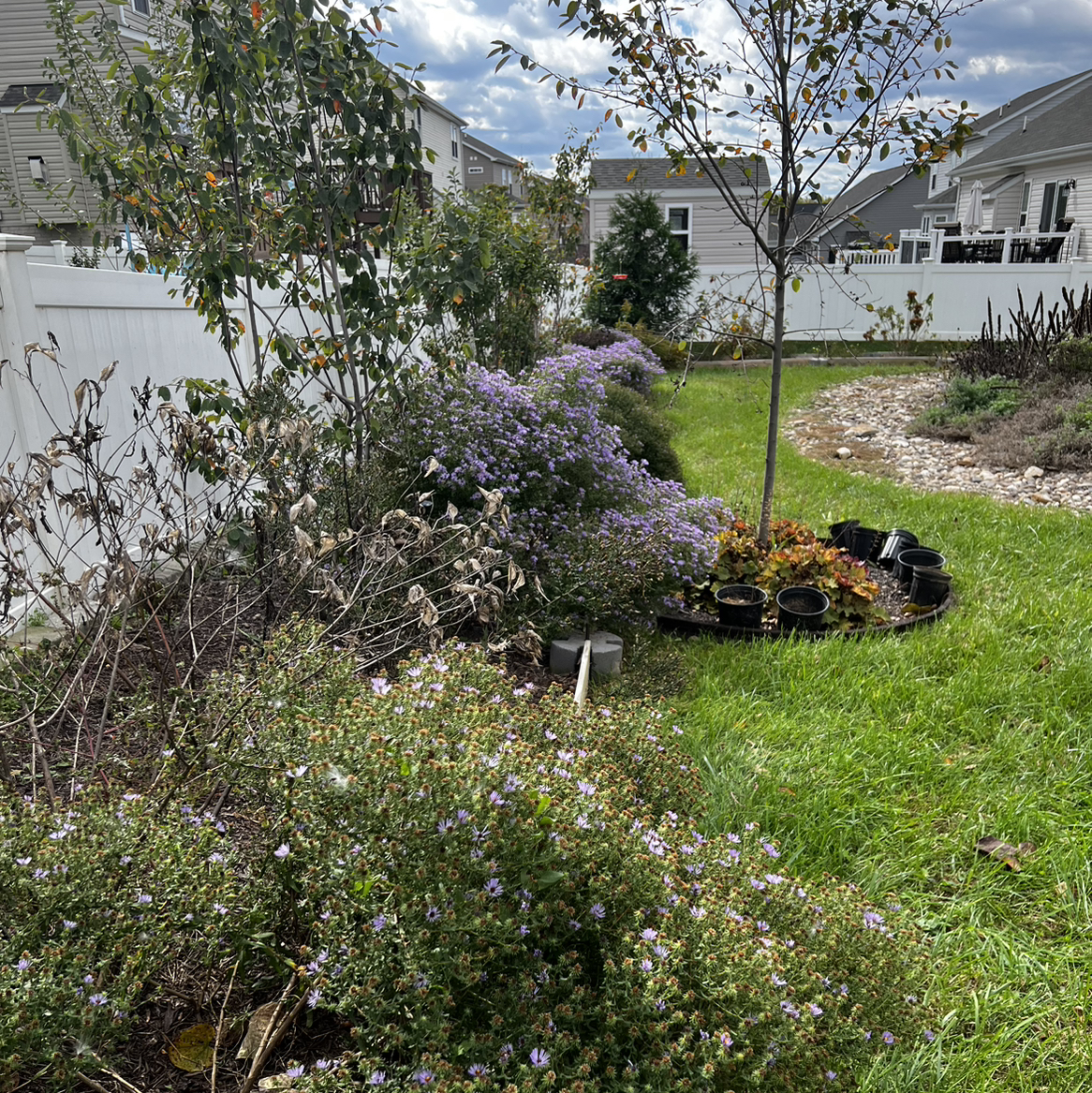 Avatar for @DWplantsWV on Greg, the plant care app