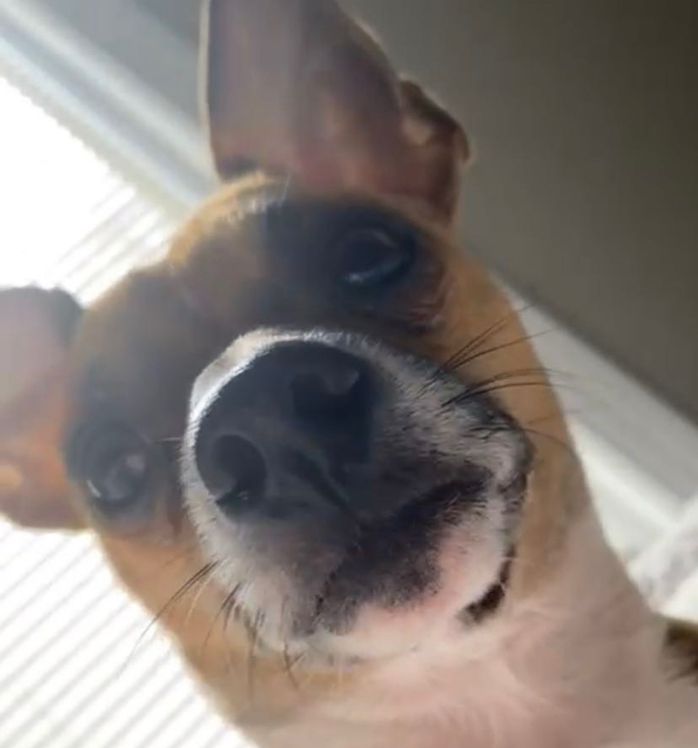 @sabrina avatar