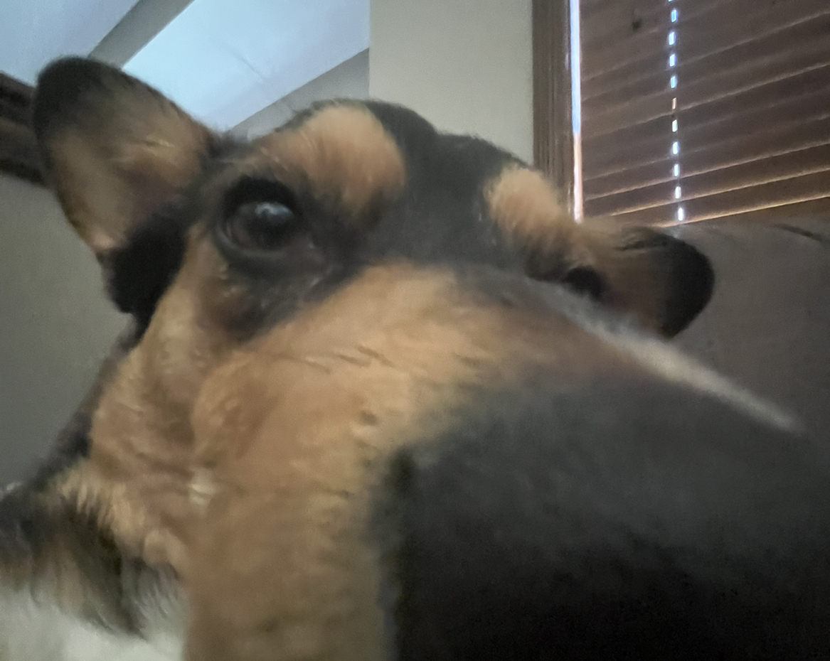 @VaultingOrchid avatar